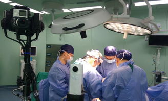 人人宴VR技术 足不出户，身临婚宴现场