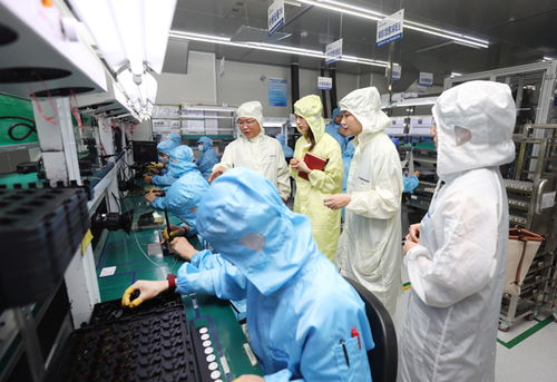 科技金融赋能新质生产力 构建生物科技研发的创新技术流与评价体系