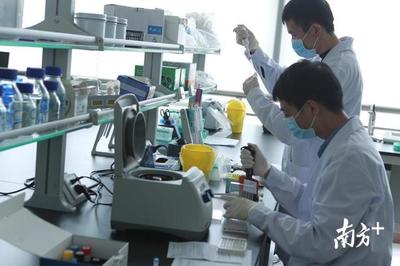 千年商都的现代回响 广州为何能永葆商业活力？